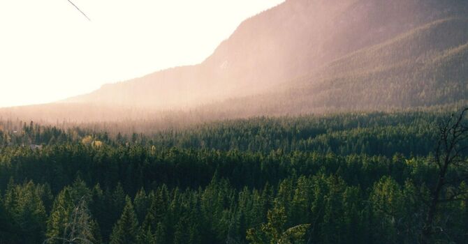 How to Find the Right Registered Dietitian in North Vancouver (What to Look For and What to Avoid)