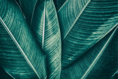 Eating Disorder Recovery Nutrition