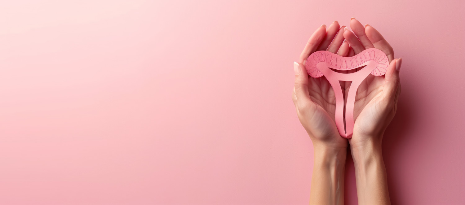 Women holding pink uterus in hands with pink background